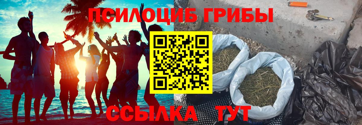 Псилоцибиновые грибы Cubensis Валуйки